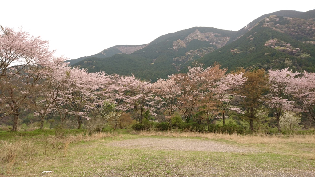 故郷の風景