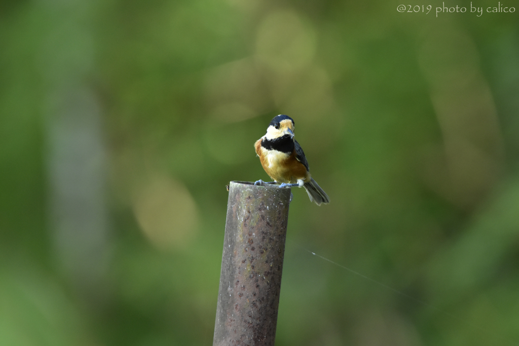 やっぱり気になる