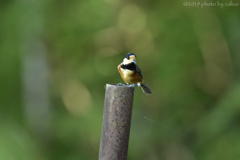 やっぱり気になる