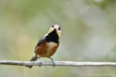 いつでも陽気に
