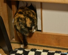 よいしょっと