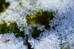 積雪 Ⅱ