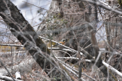 さっきから居ましたよ