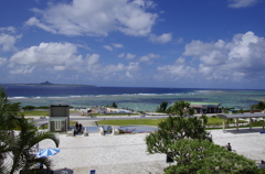 美ら海