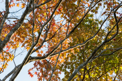 Gradation