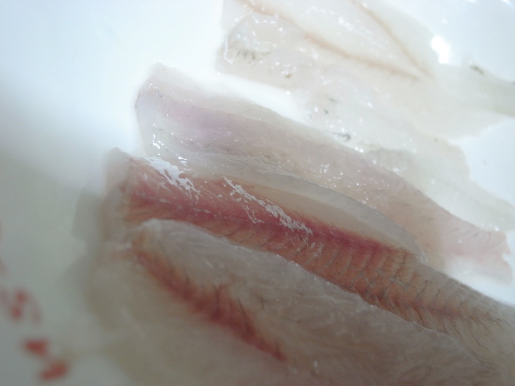 僕が釣って、さばきました！