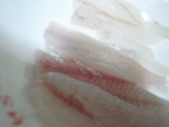 僕が釣って、さばきました！