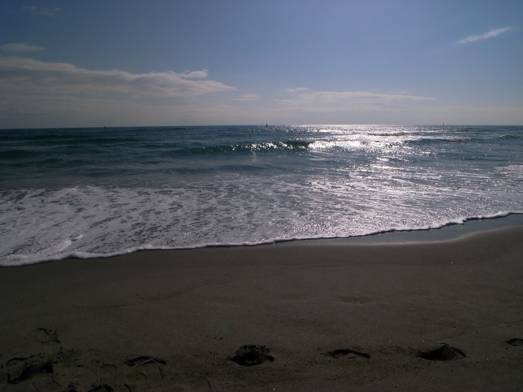 海