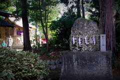 IMGP0173