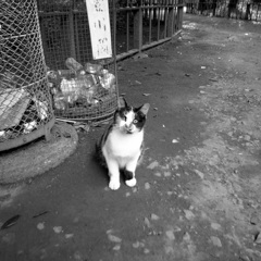 信頼