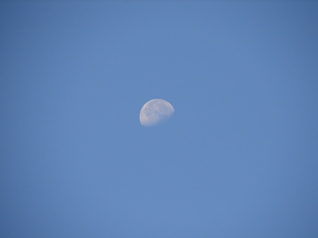 大楠山から望む月