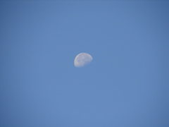 大楠山から望む月