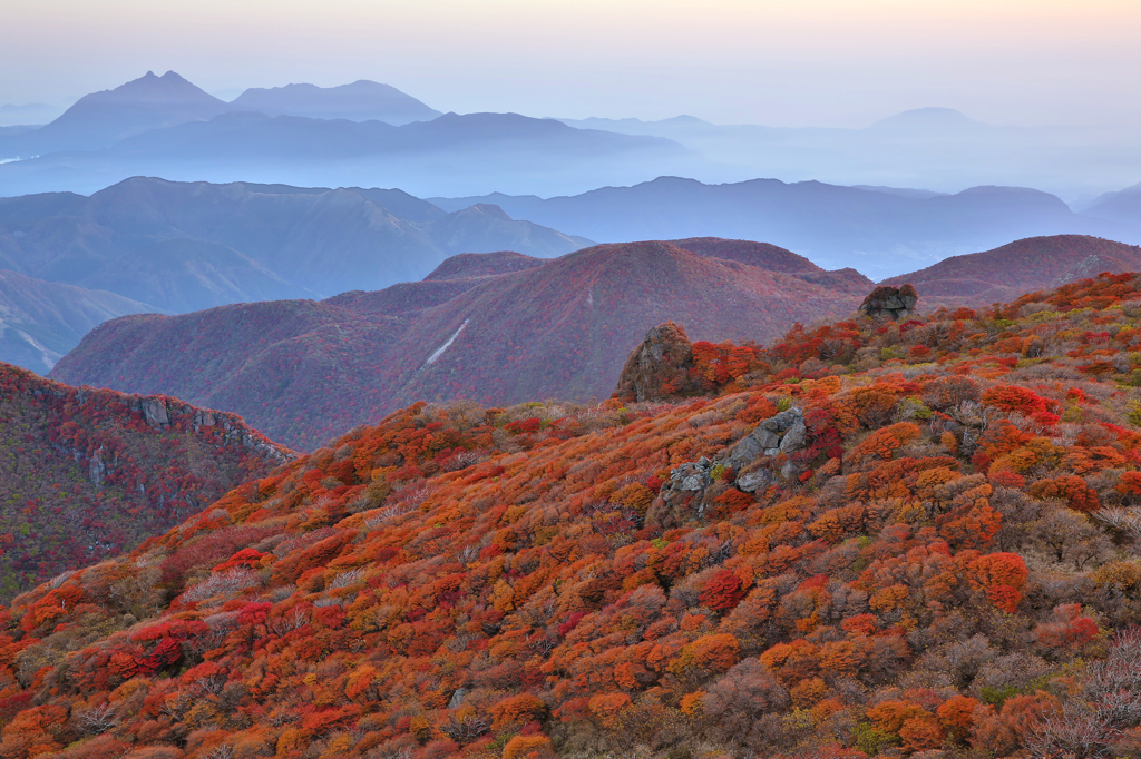 山紅葉