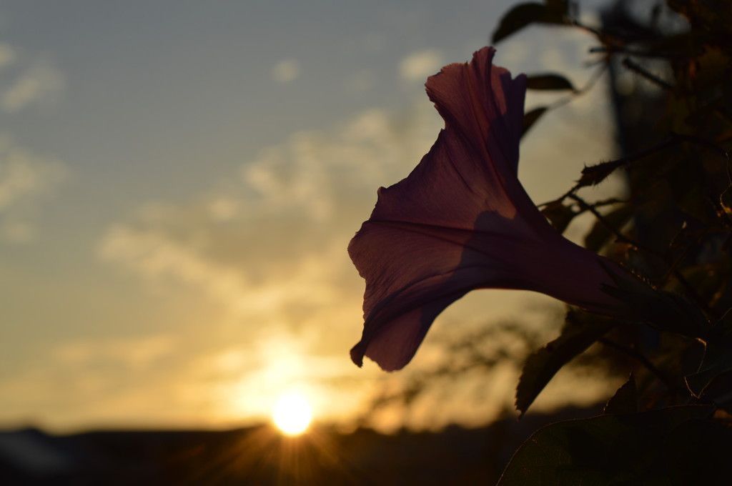 夕暮れ