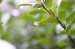 雨の日