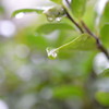 雨の日