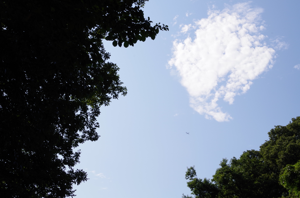 空と飛行機