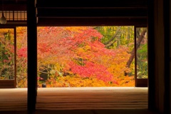 静かに愛でる