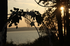 love & sunset