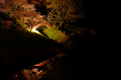 夜桜④