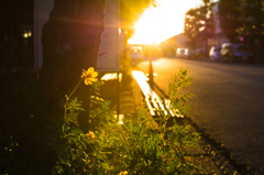 問屋町の夕日