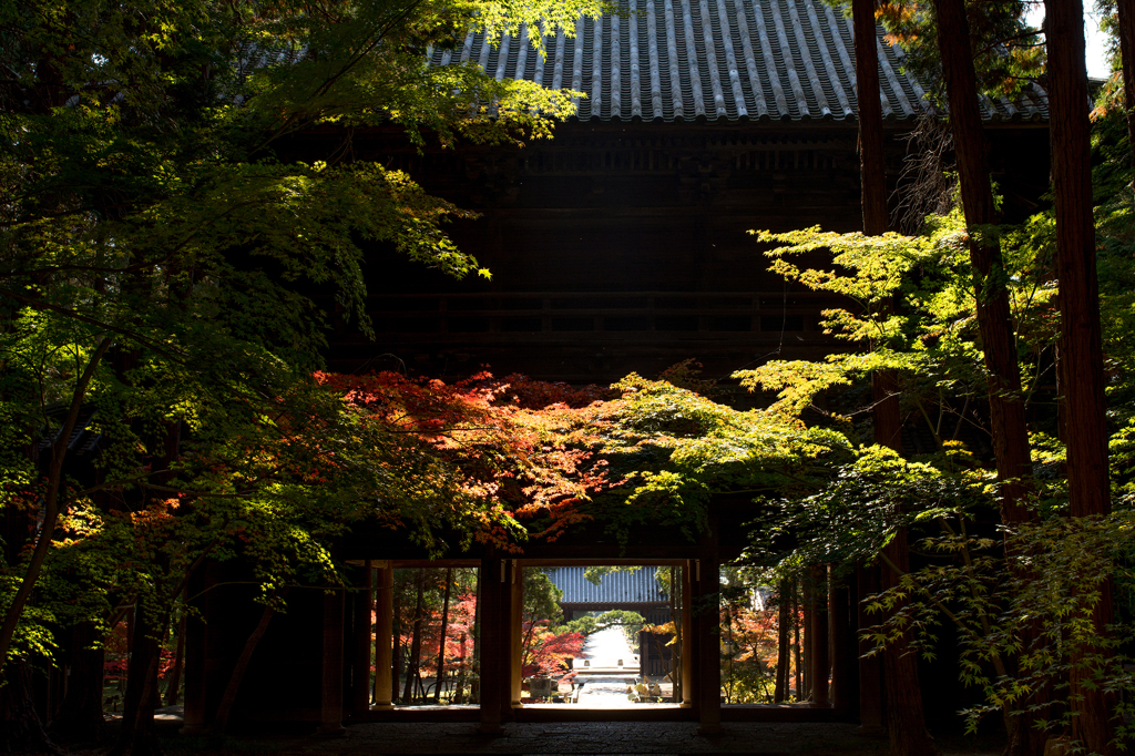 光降る山門