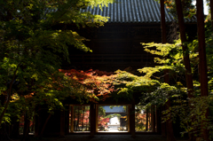 光降る山門