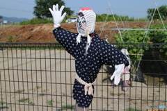 あらよ〜！