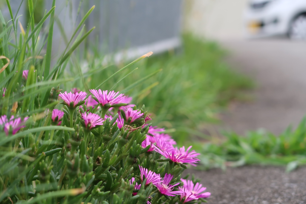 たたずむ・・・