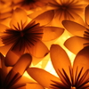 紙の花