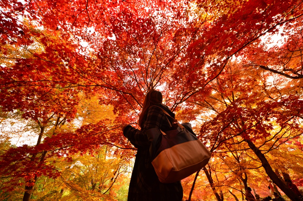 紅葉に囲まれて