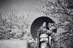 モノクロームで感じる春