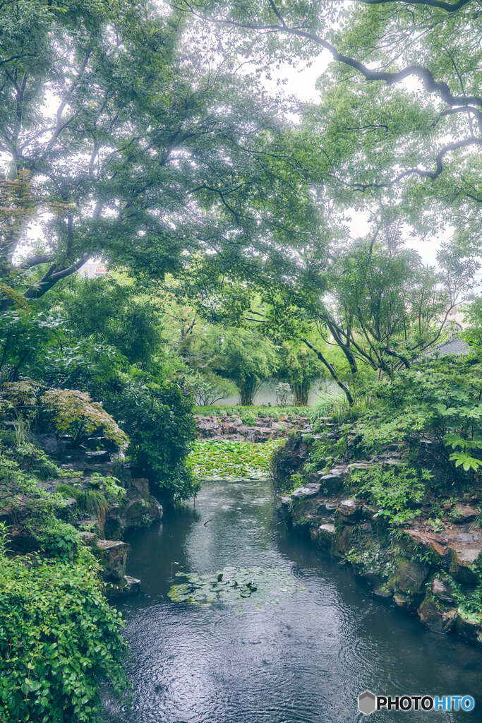 雨の公園