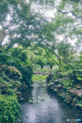 雨の公園
