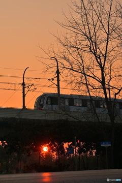 電車と朝日