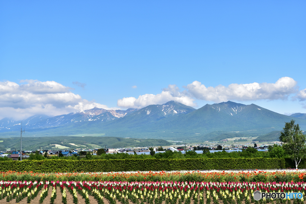 富良野の色彩