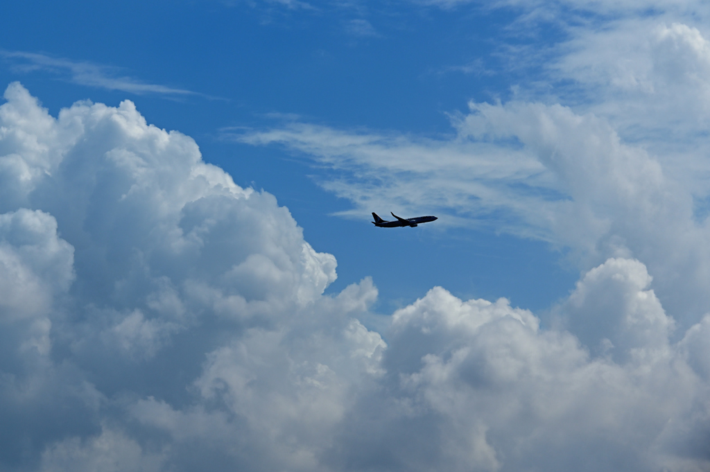 大空へ