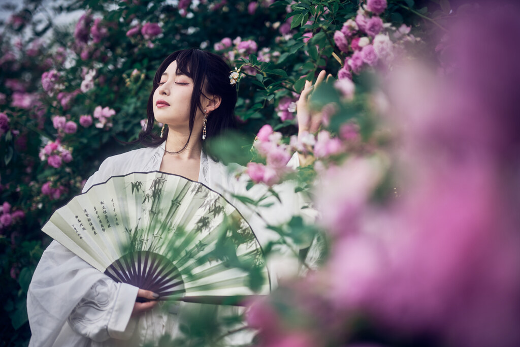 初夏の風
