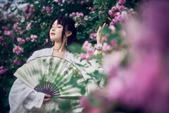 初夏の風