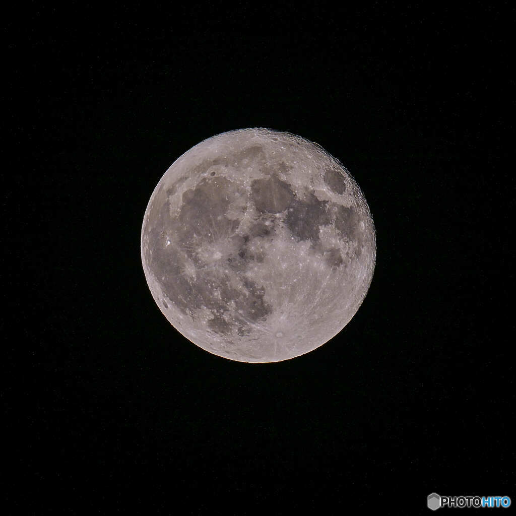 久しぶりに見る満月
