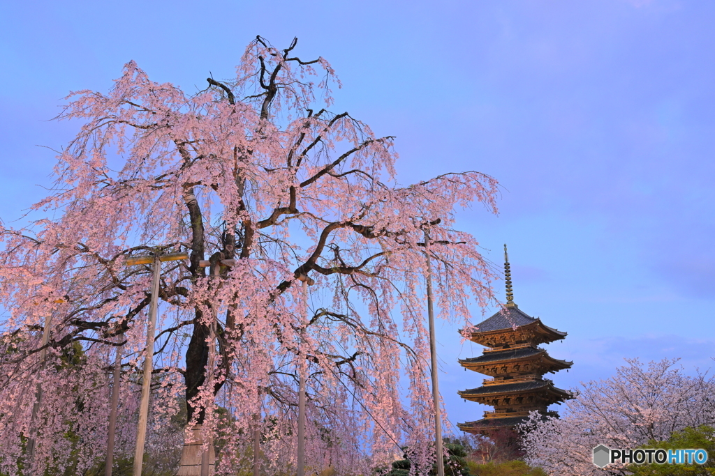 東寺