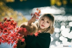 紅葉と水面の輝き