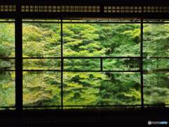 瑠璃光院