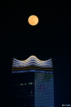 満月の夜