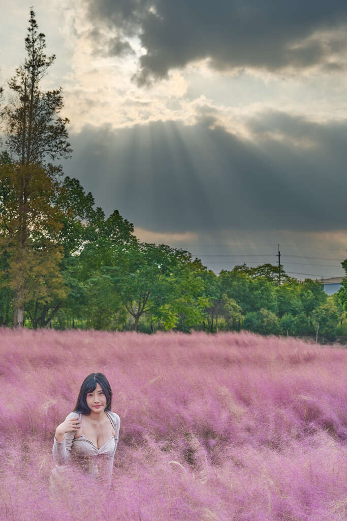 ピンクミューリーと光芒