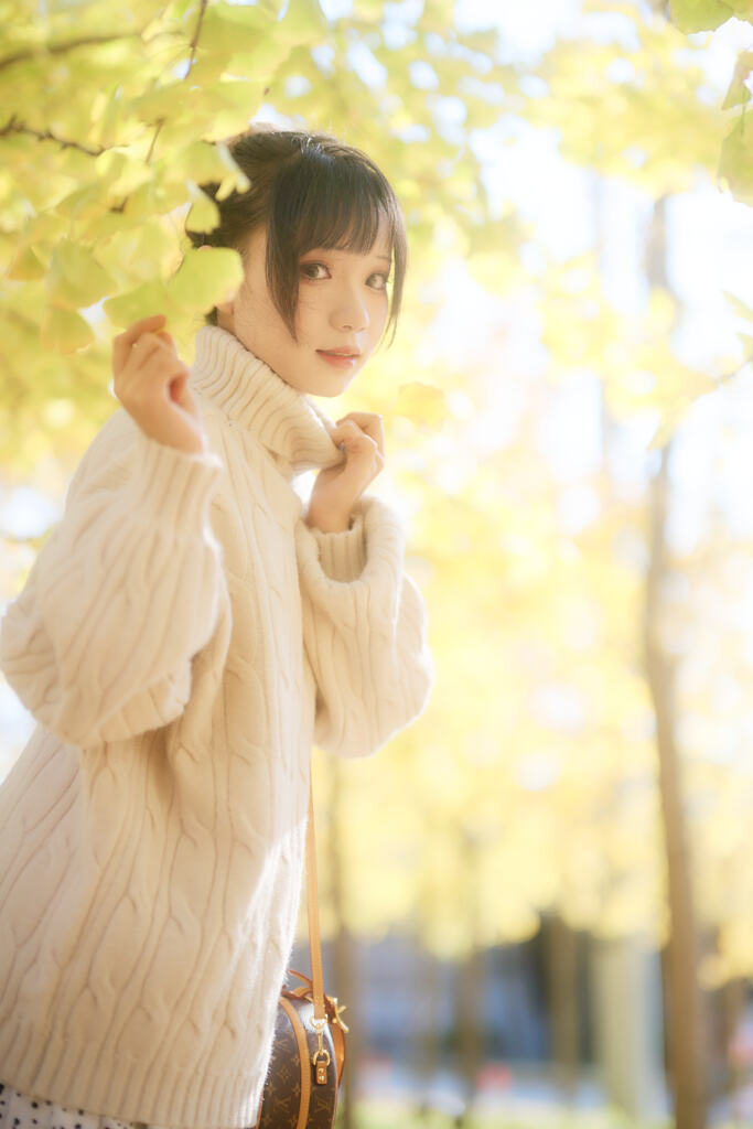 黄葉の季節