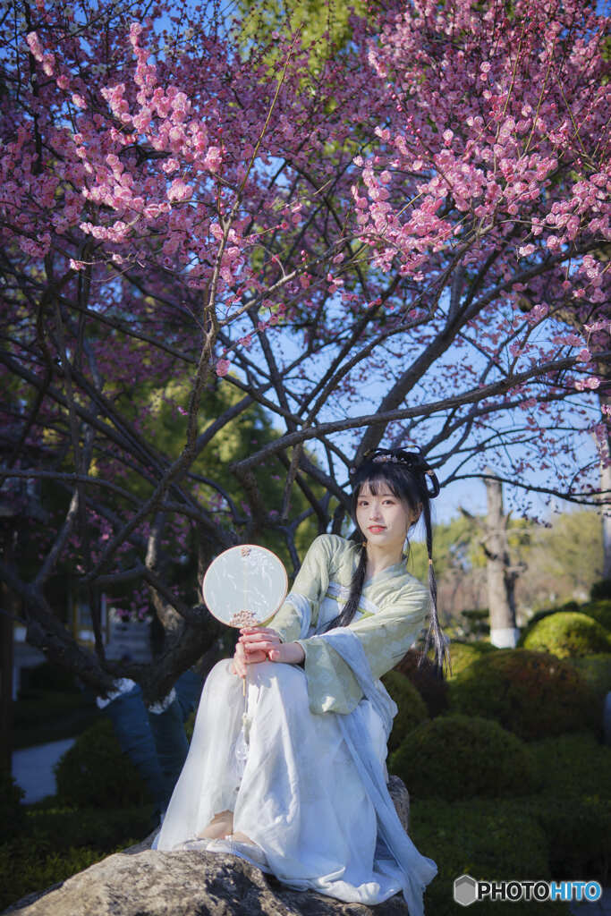 春本番