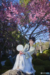 春本番