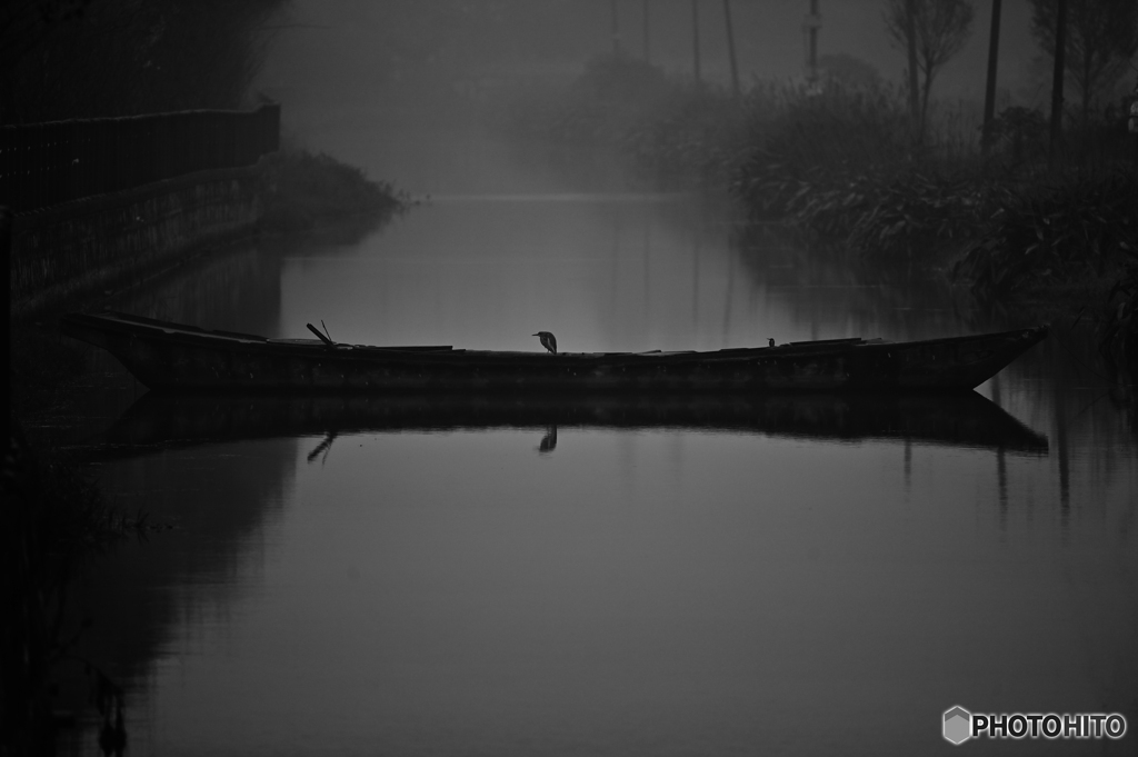 静かな晩秋の朝