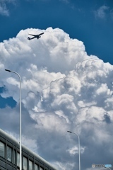 飛行機と入道雲